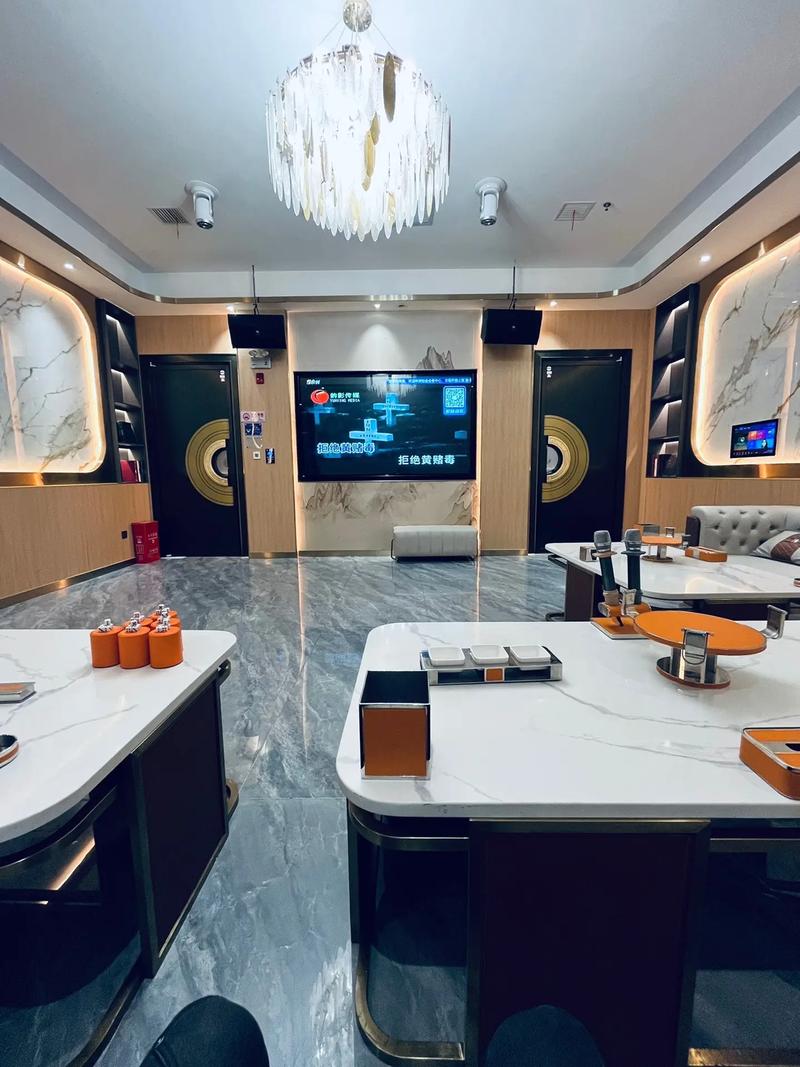 广元商务KTV，商务场合的完美选择-苍溪县ktv预定